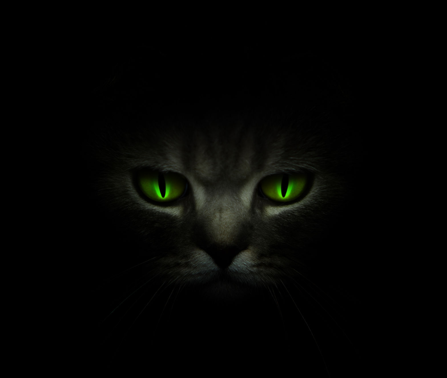 Cat's eyes